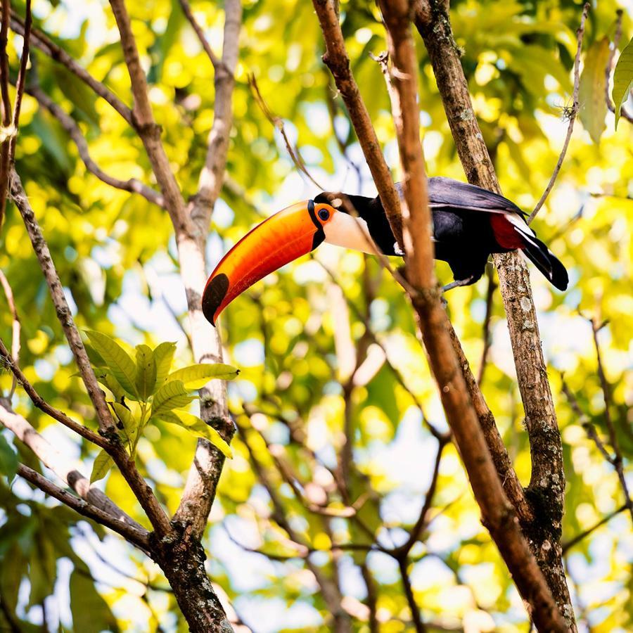 Fazenda Capoava Βίλα Itu Εξωτερικό φωτογραφία