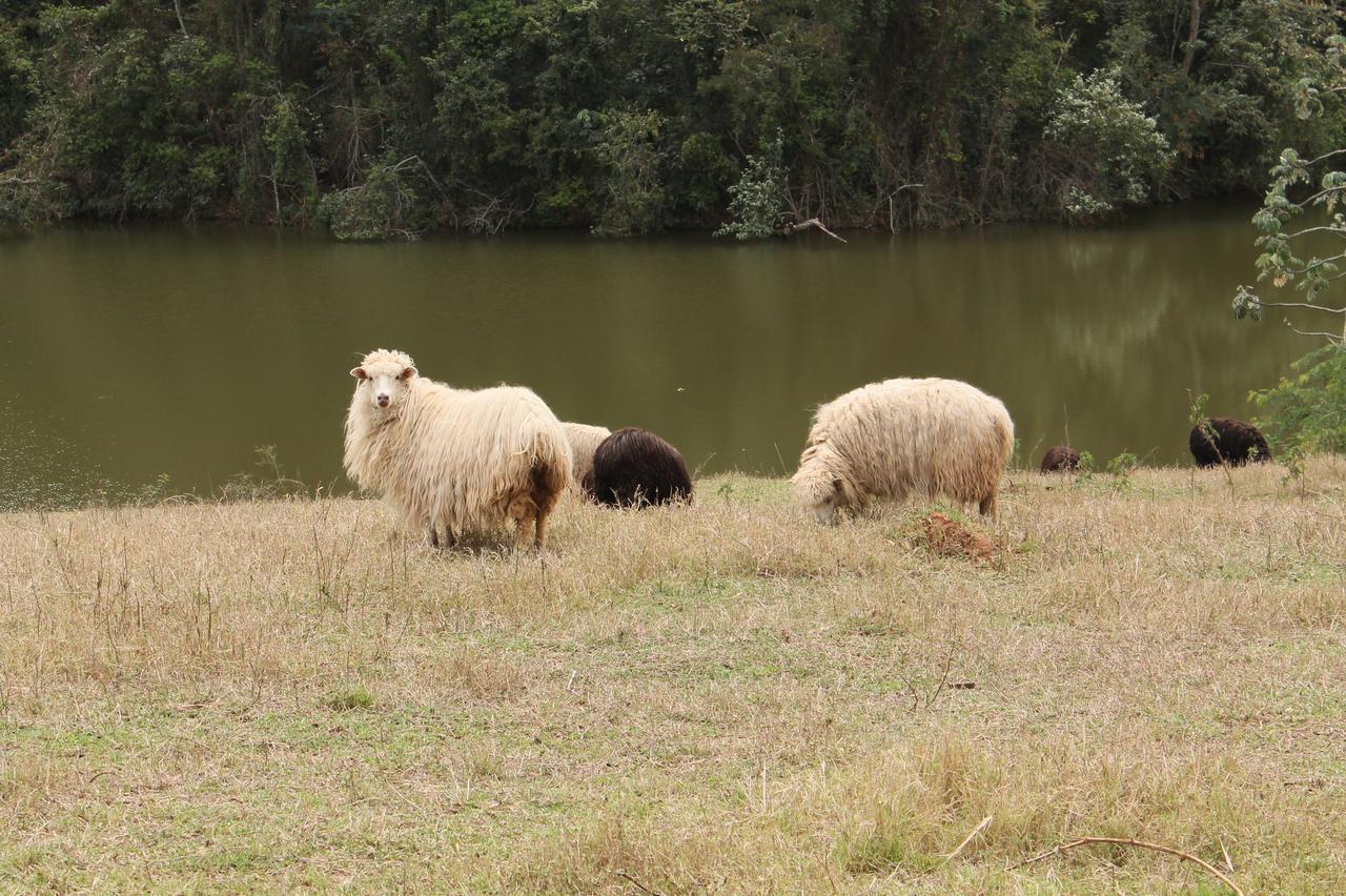 Fazenda Capoava Βίλα Itu Εξωτερικό φωτογραφία